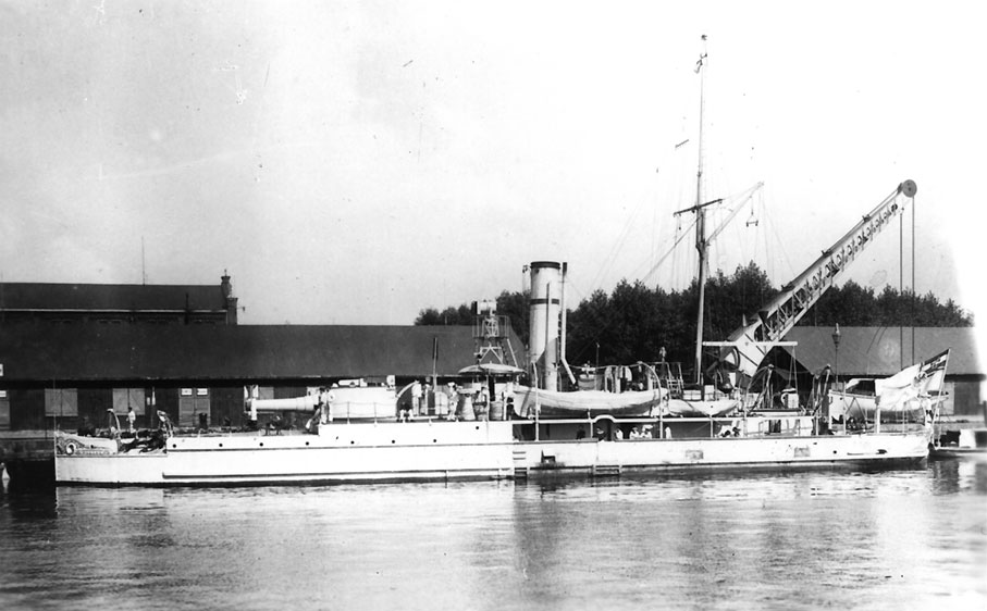 Mücke